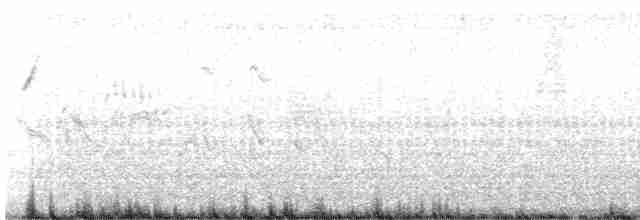 Black-throated Sparrow - ML584865511