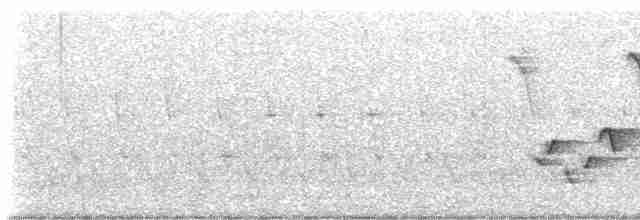 Каролинский крапивник - ML584881411
