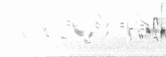 Ruiseñor Pechinegro del Himalaya - ML584910071