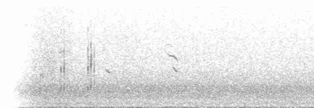 Горихвістка рудоспинна - ML584910231