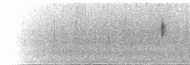 Mirlo Acuático Europeo - ML584910401