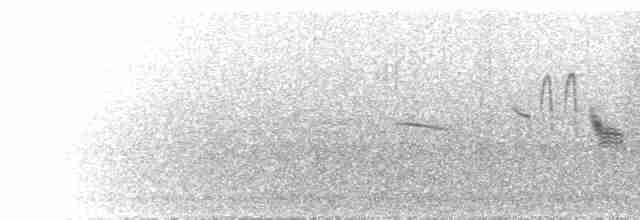Красноспинная горихвостка - ML584910691