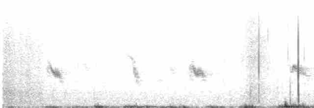 grånakkefjellfink - ML584952981