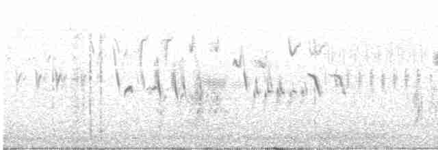 Тихоокеанский крапивник - ML584963771