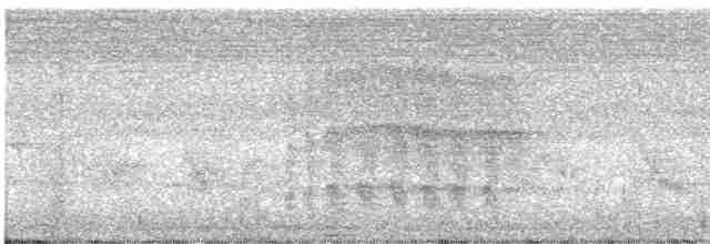 Kestane Kanatlı Tepeli Guguk - ML584977301