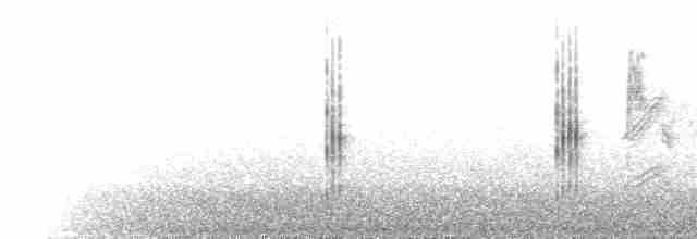 Красноспинная горихвостка - ML584984881