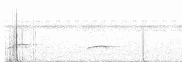 Kupferglanzvogel - ML585001841