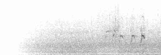 srpatka ibisovitá - ML585023221