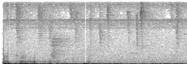 gråvingetrompetfugl - ML585043261