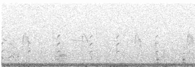 Малая морская чернеть - ML585101911