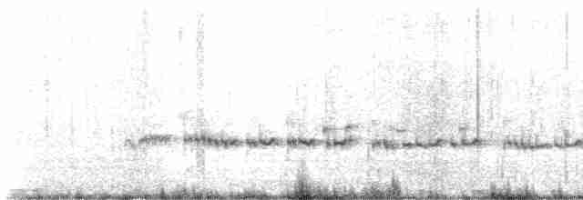 Gray-tailed Tattler - ML585102411