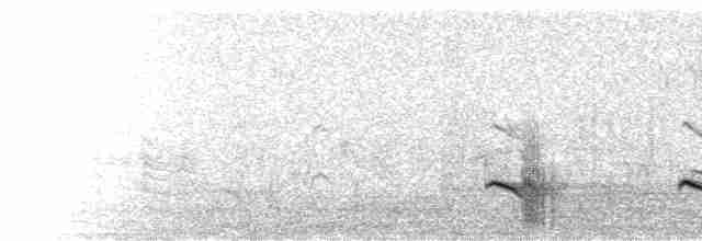 Élanion à queue blanche - ML585136621