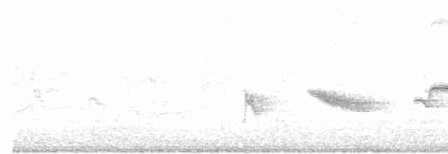 Epaulet Oriole (Epaulet) - ML585160781