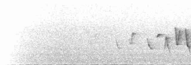 Connecticut Warbler - ML585162101