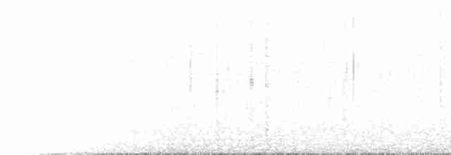 Горихвістка червоночерева - ML585204041