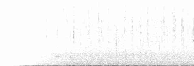hvitvingerødstjert - ML585204081