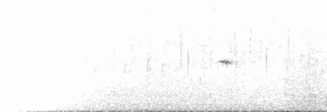 hvitvingerødstjert - ML585204091