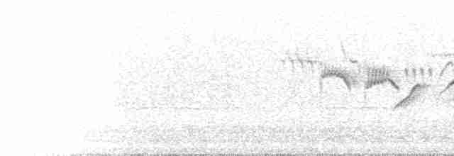 Тинівка бліда - ML585205201