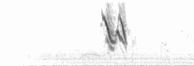 konipas bílý (ssp. personata) - ML585207591