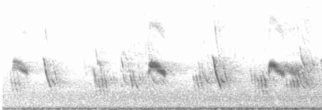 Büyük Mor Kırlangıç - ML585213361