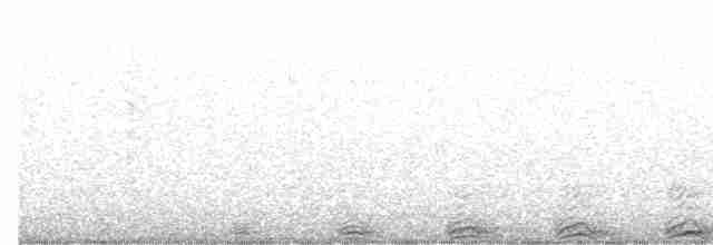 Chouette rayée - ML585216291
