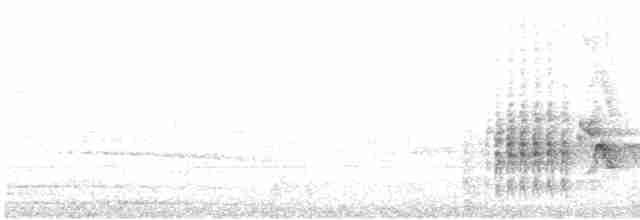 Сероголовый воробей - ML585217731