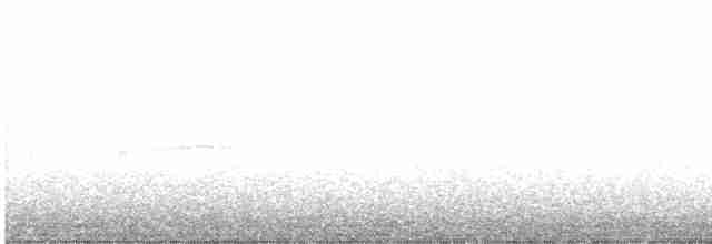 חטפית ירקרקה - ML585218151