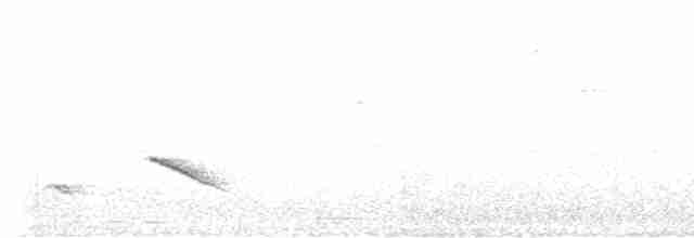 Çizgili Saltator - ML585253131