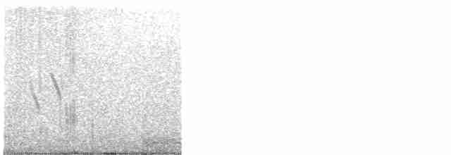 Hirondelle à face blanche - ML585254391