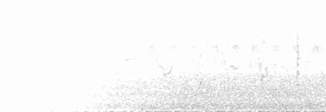 סלעית שיחים - ML585271021