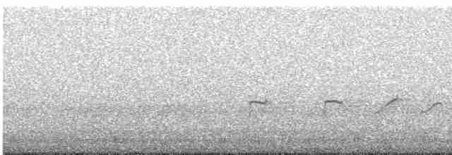 Spotted Sandpiper - ML585295271