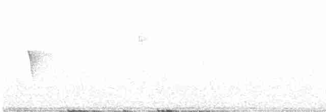 Светлобрюхий фиби - ML585316041