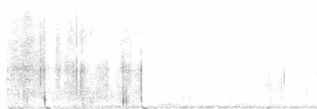 Weißbrustkleiber - ML585364291