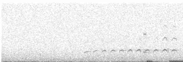 Сичик-горобець андійський - ML585374021