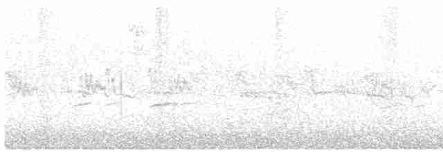Graumantel-Brillenvogel - ML585404891