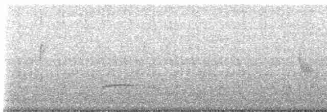 Тауї плямистий - ML585408401