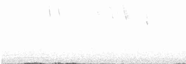 Очковая канделита - ML585418581