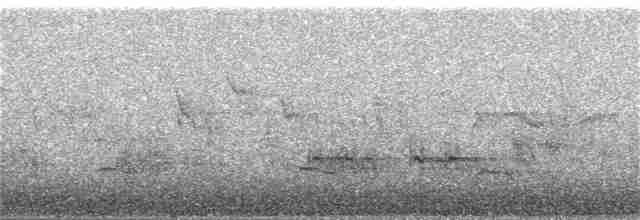 Little Ringed Plover - ML58541971