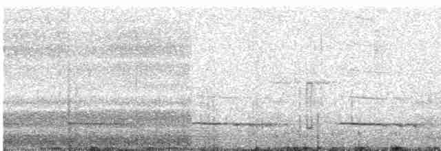 Сичик-горобець андійський - ML585439531