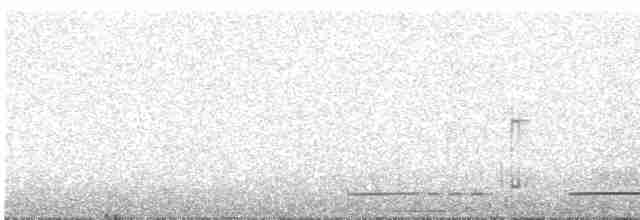 Сичик-горобець андійський - ML585440421