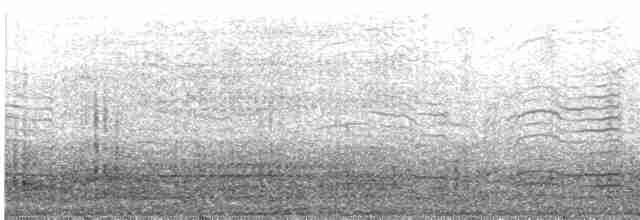 崖海鴉 - ML585450251