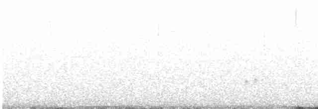 Plectrophane blanc - ML585462351
