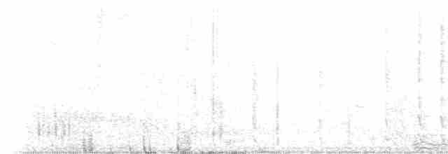 White-eared Honeyeater - ML585483531