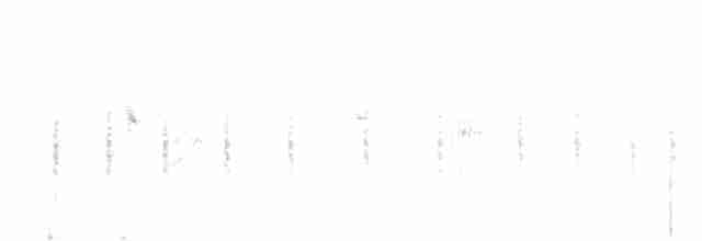 Txinbo papargorrizta iberiarra - ML585485571