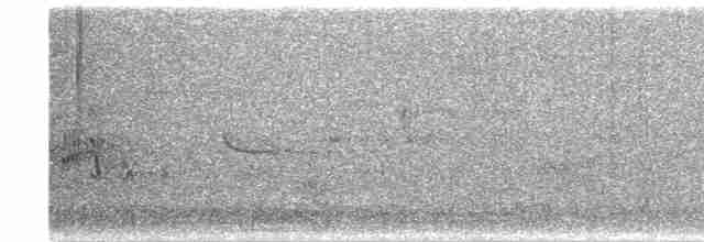 Кропив'янка сіра - ML585485931