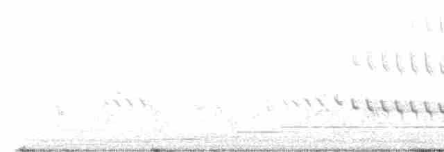 White-throated Kingfisher - ML585490511