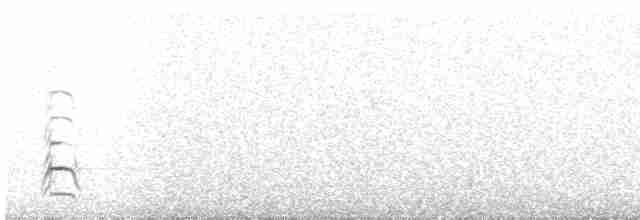歐亞海鷗 - ML585498271