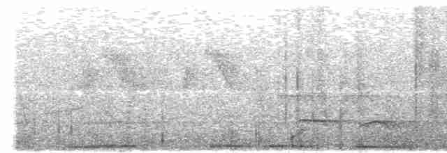 holub světlebřichý - ML585509121