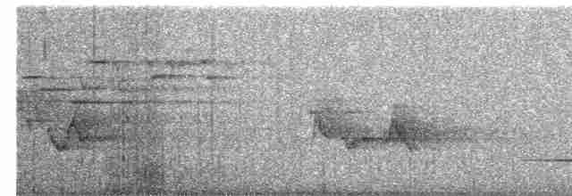 Дрозд-отшельник - ML585513151