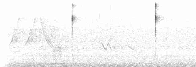 Common Yellowthroat - ML585556901